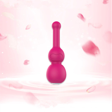 Vagina Silicone Vibrators Sex Product for Woman Injo-Zd069